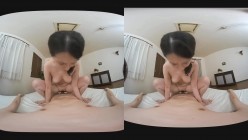 预览图8