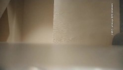 预览图5