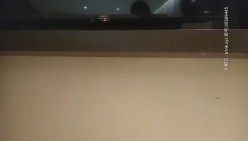 预览图11