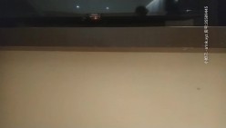 预览图13