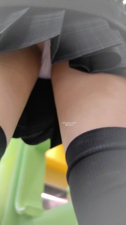 预览图8