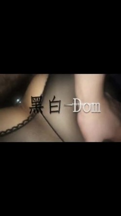 预览图13