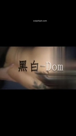 预览图16