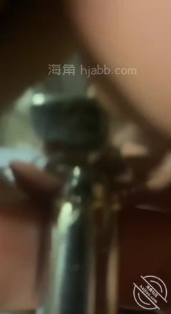 预览图4