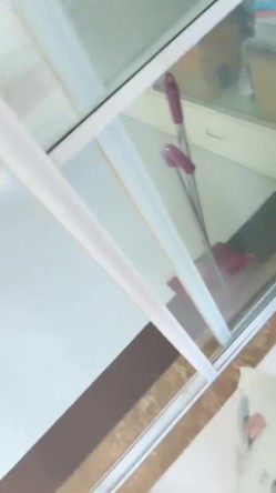 预览图5