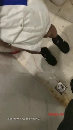预览图7