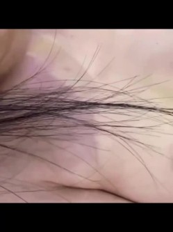 预览图16
