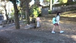 预览图1
