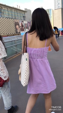 预览图13
