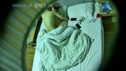 预览图7