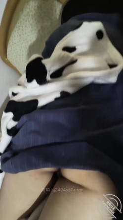 预览图13