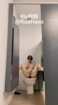 预览图5