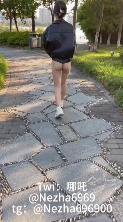 预览图7