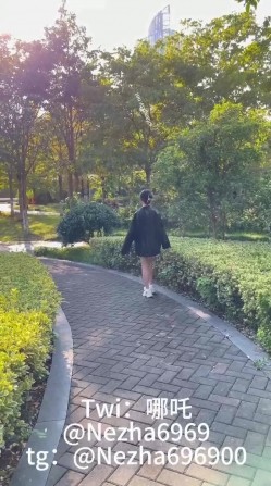 预览图11