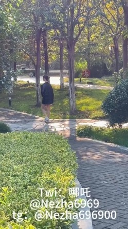 预览图13