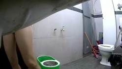 预览图11