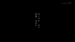 预览图16