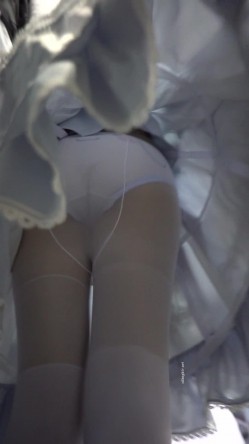 预览图14