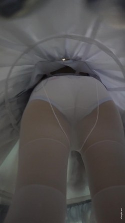 预览图15