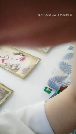 预览图11