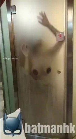 预览图12