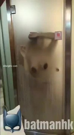 预览图14