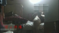 预览图2