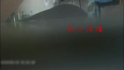 预览图13