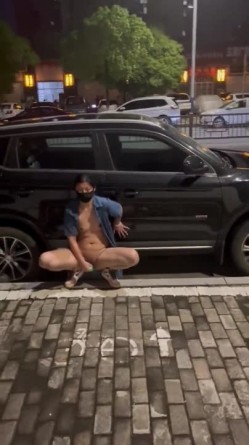 预览图8