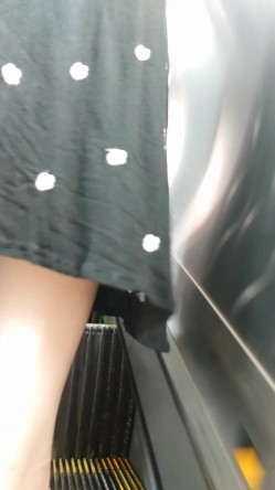 预览图8