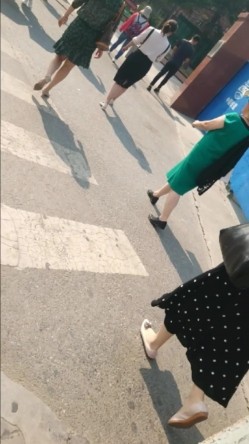 预览图12