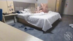 预览图4
