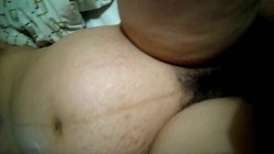 预览图14