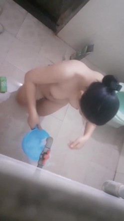 预览图14