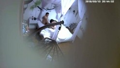 预览图15