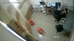 预览图8