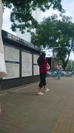 预览图15