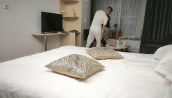 预览图4