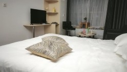 预览图5