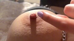 预览图4