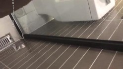预览图10