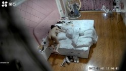 预览图9