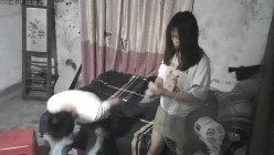预览图13