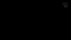 预览图9