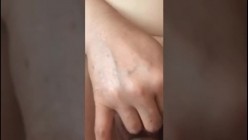 预览图4