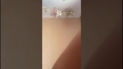 预览图10