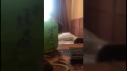 预览图13