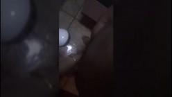 预览图16