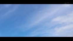 预览图16