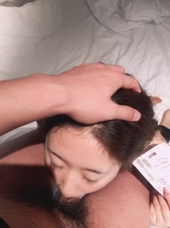 预览图14